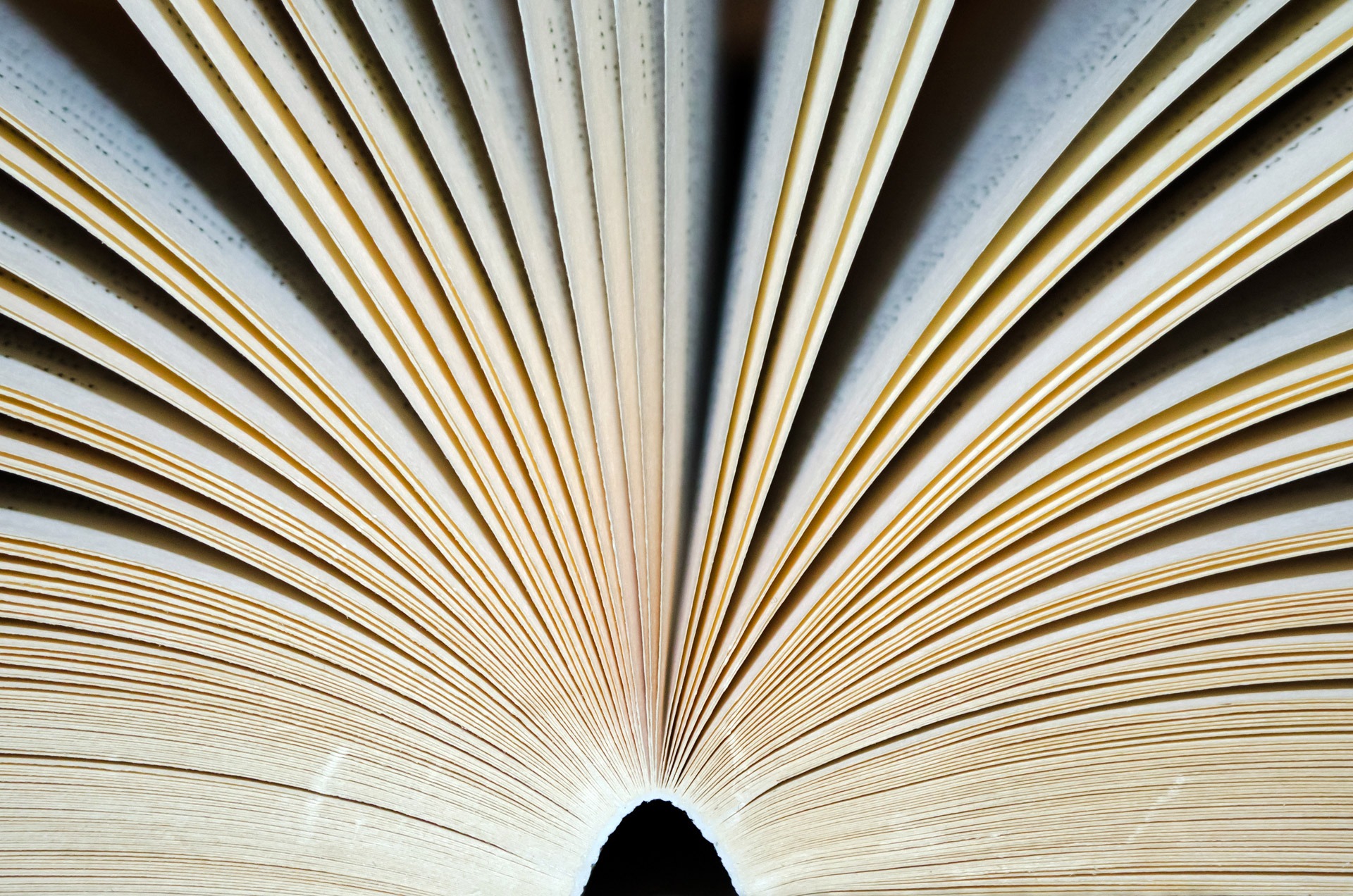 writing book open record wing light 1023549