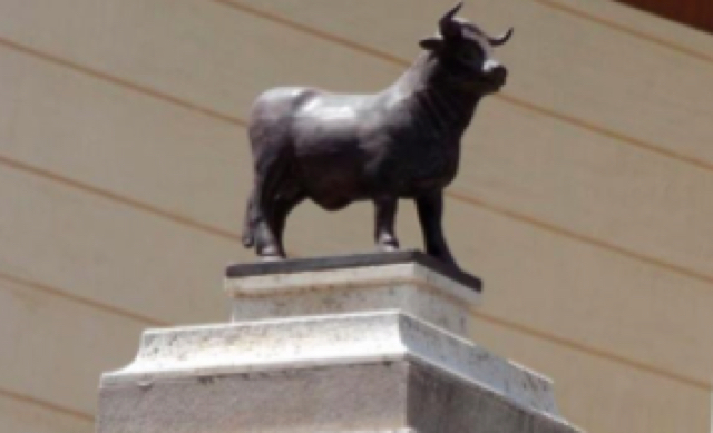 Torico 3
